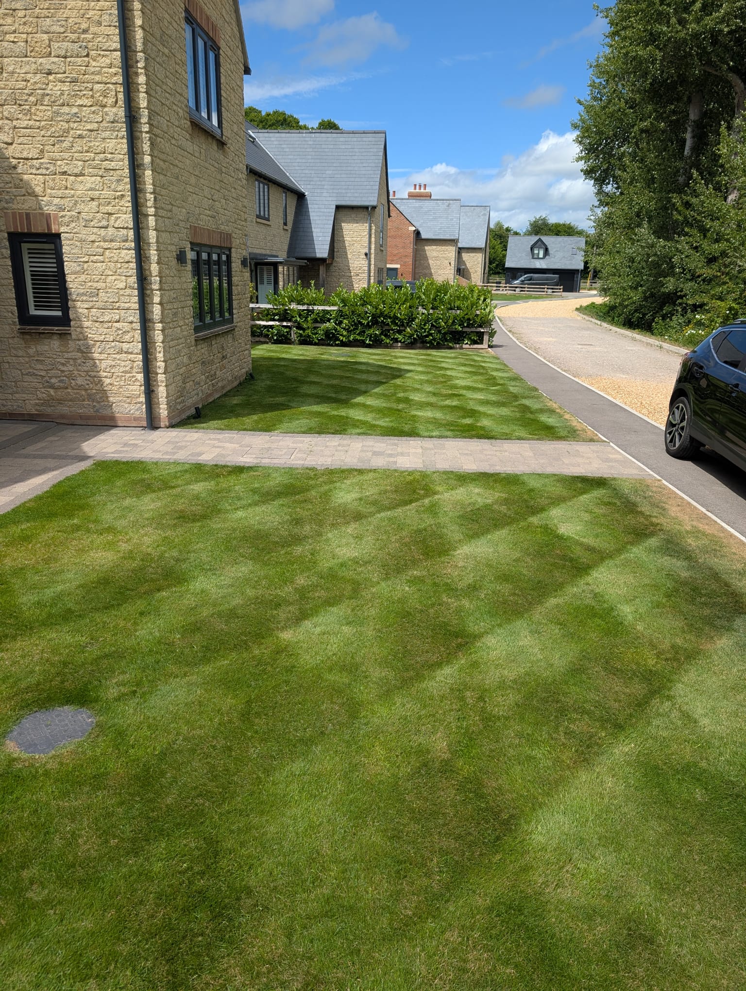 Full Lawn Renovations